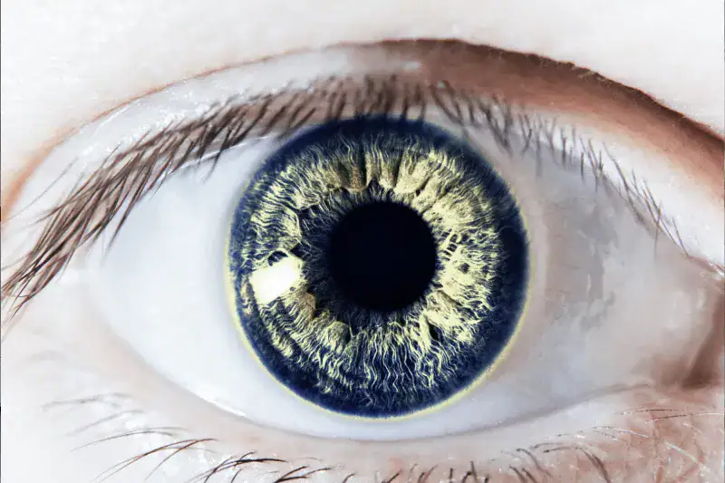 Close-up of a human eye with a blue iris.