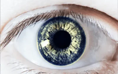 Nahaufnahme eines menschlichen Auges mit blauer Iris.